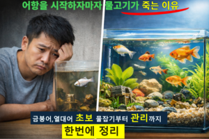 금붕어 기억력은 정말 3초일까?|주인을 알아보는 듯한 행동의 비밀 3 어항을 시작하자마자 물고기가 죽는 원인을 보여주는 대비 이미지, 수질이 불안정한 어항과 안정적으로 관리된 금붕어·열대어 어항 비교